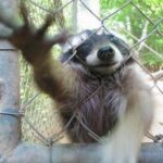 Introducing Jackson Hyatt